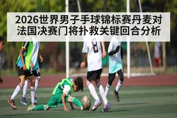 2026世界男子手球锦标赛丹麦对法国决赛门将扑救关键回合分析